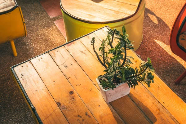 Plant Pot Houten Tafel Bij Coffee Shop Met Lichte Zonsondergang — Stockfoto