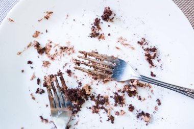 Çikolatalı kek yedikten sonra çatal ile boş beyaz tabak.