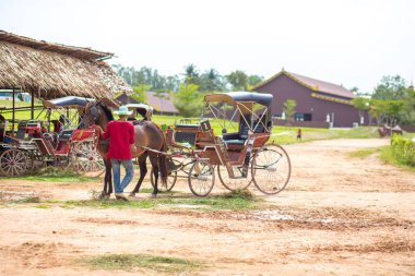 At ve eski çiftlik güzel bir eski arabaya.