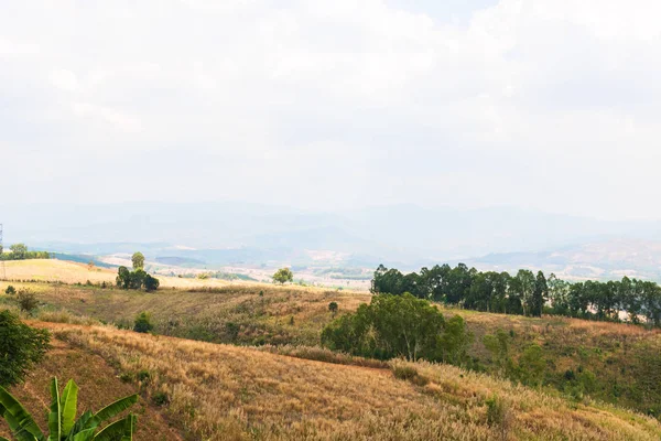 sıcak bir sonbahar gününde mavi bulutsuz gökyüzü altında beyaz sis ve yaprak döken orman kaplı dumanlı bir dağ dağ tepeleri bir görünüm