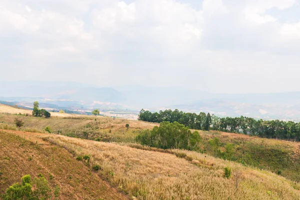 sıcak bir sonbahar gününde mavi bulutsuz gökyüzü altında beyaz sis ve yaprak döken orman kaplı dumanlı bir dağ dağ tepeleri bir görünüm