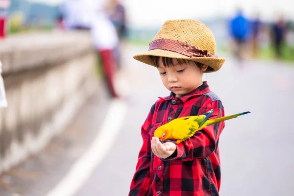 Los Niños Dan Comer Pájaro Los Parques —  Fotos de Stock