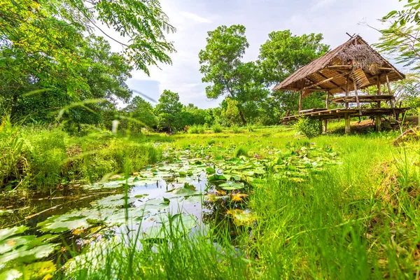 Zonnige Middag Met Vijver Het Bos Een Hut Buurt Van — Stockfoto