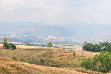 sıcak bir sonbahar gününde mavi bulutsuz gökyüzü altında beyaz sis ve yaprak döken orman kaplı dumanlı bir dağ dağ tepeleri bir görünüm