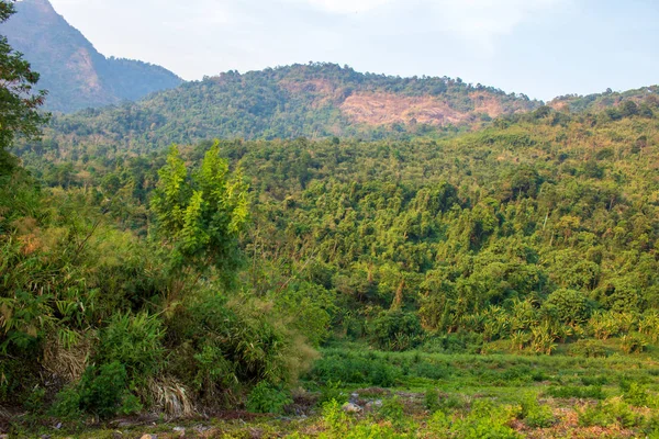 Öğle vakti yeşil dağ.