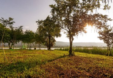 Ağaç, ot, dağ, su ve günbatımı manzara olmak.