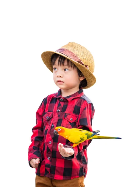 Kinder Geben Futter Für Einen Vogel Und Weißen Hintergrund — Stockfoto