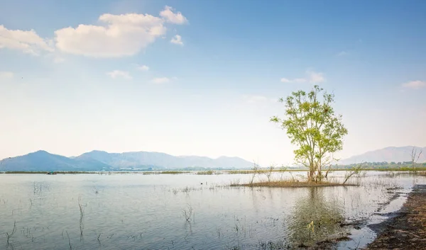 Landscape Tree Grow Reservoir Blue Sky Mountain Back — Stock Photo, Image