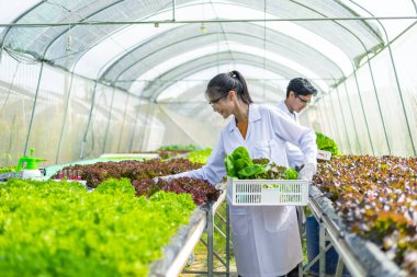Bilimadamları çözeltiyi test eder, kimyasal inceleme, organik ve hidroponik çiftlikteki tazeliği kontrol eder.