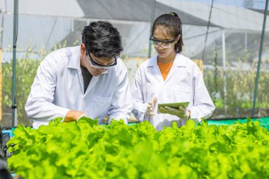 Bilimadamları çözeltiyi test eder, kimyasal inceleme, organik ve hidroponik çiftlikteki tazeliği kontrol eder.