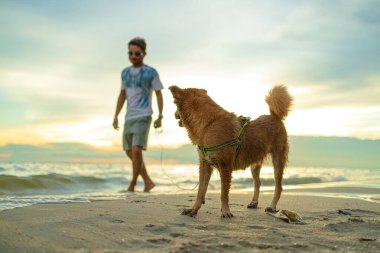 Kumsalda bir adam ve bir köpek.