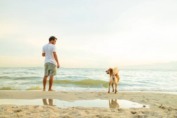 Homme Chien Sur Plage — Photo