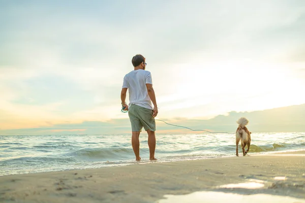 Homme Chien Sur Plage — Photo