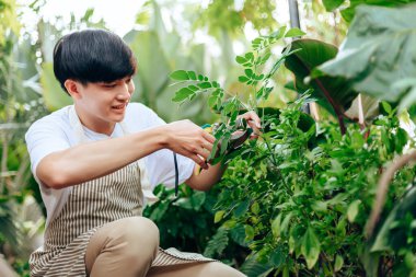 Genç adam bahçede rahatla. Bitkileri ve çiçekleri önemserler..