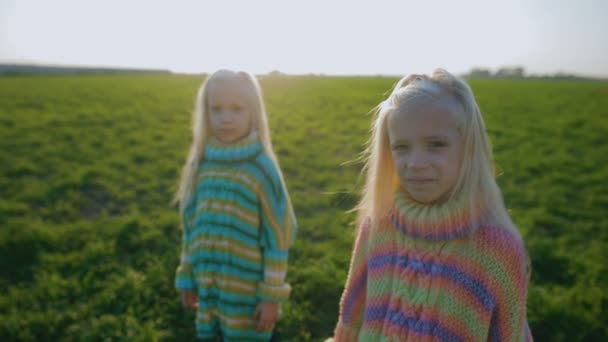 明るい服でスローモーションかわいい小さな双子の女の子が夕日にジューシー グリーン フィールドに立つ — ストック動画
