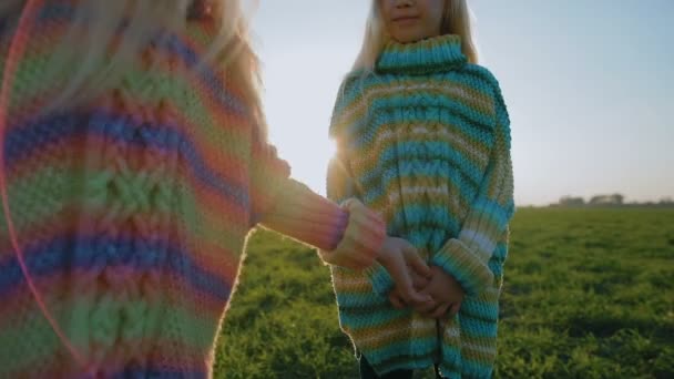 Schattige Kleine Zusters Plezier Zomer Veld Zonsondergang — Stockvideo