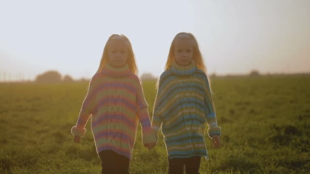 Schattige Kleine Zusters Plezier Zomer Veld Zonsondergang — Stockvideo