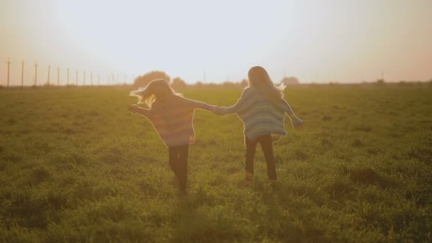 Niedlichen Kleinen Schwestern Spaß Sommer Feld Bei Sonnenuntergang — Stockvideo