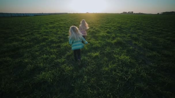 スローモーション愛らしい金髪双子の女の子スタンドと新鮮な緑の草原の中でバック日光見て脇 — ストック動画