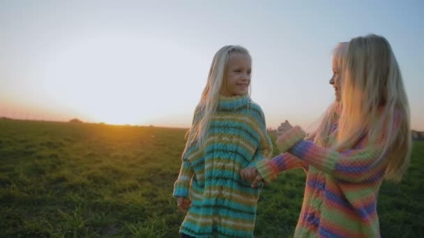 慢动作快乐长头发的双胞胎女孩手拉手 走在新鲜的草地上对蓝天和日落 — 图库视频影像