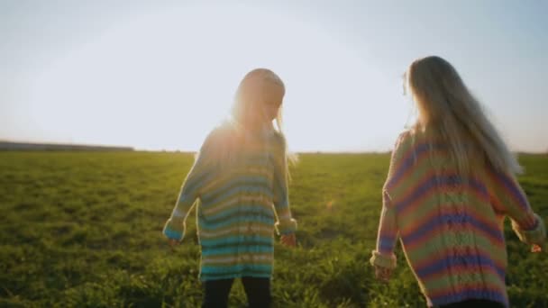慢动作搞笑长头发的双胞胎女孩旋转手在郁郁葱葱的草地上对明亮的阳光和天空 — 图库视频影像