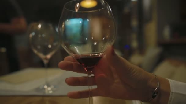 エレガントなブルネットの女性のグラスに赤ワインを取るし モダンなカフェ テーブルでドリンク — ストック動画