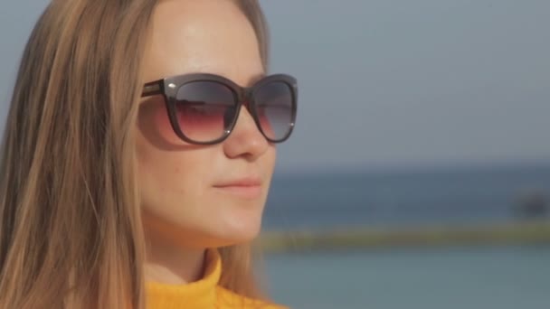 Woman Loose Flowing Hair Waving Wind Wearing Sunglasses Blurry Sea — Stock Video