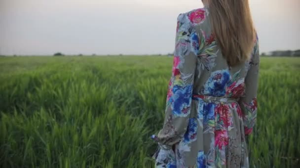 Mujer en vestido camina a lo largo de campo verde y abraza hijas — Vídeos de Stock