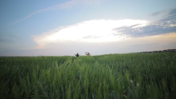 Radosne małe dziewczynki grać z samolotów zabawki uruchomić na zielonym polu — Wideo stockowe