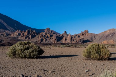 Tenerife adasında volkanik dağları ve çalıları olan ıssız bir yer.