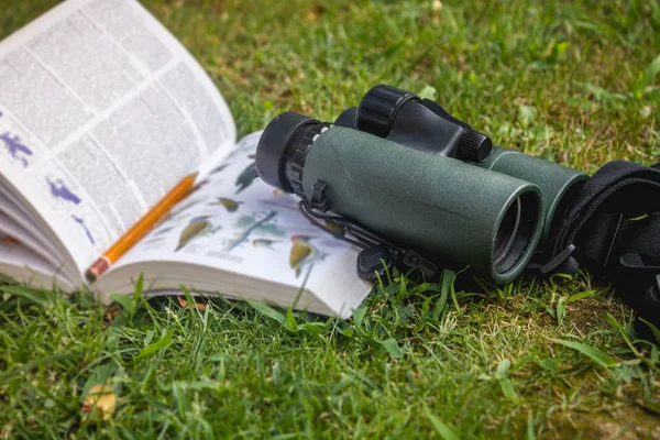 Binoculars and Bird Guide