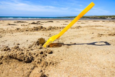 Maça Galler Beach İngiltere'de, yakın çekim
