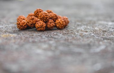 Rudraksh boncuk gevşek taş