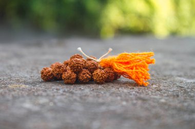 Açık havada Püskül Rudraksh boncuk gevşek