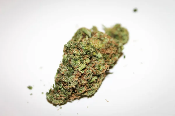 Gedroogde Bloem Juridische Cannabis Wit — Stockfoto