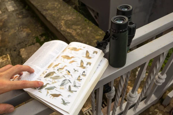 Binoculars Bird Guide Birdwatching — Stock Photo, Image