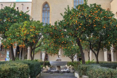 Orange Tree in Courtyard of Complesso Monumentale di Santa Chiara In Naples  Italy clipart