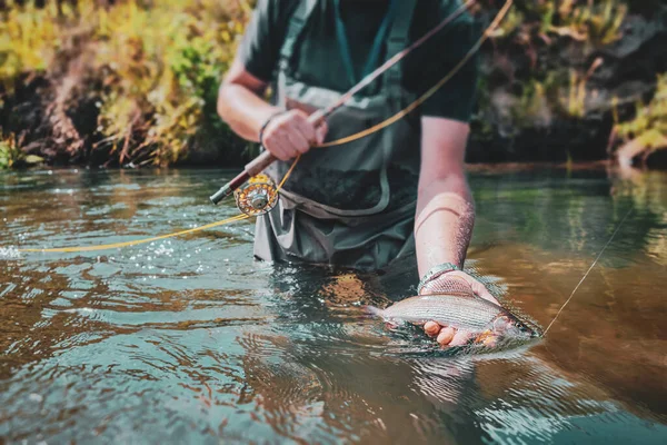 Balıkçı Elinde Bir Gri Tutuyordu — Stok fotoğraf