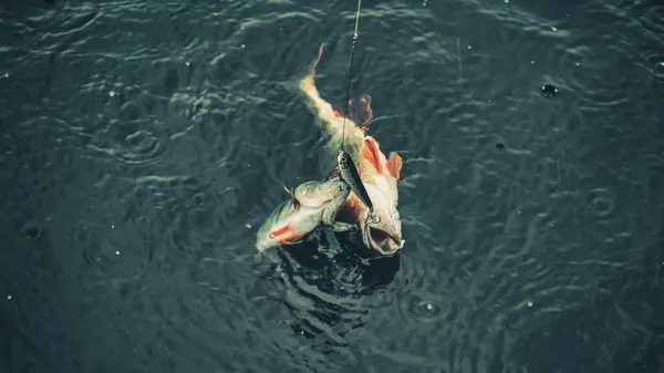 Empoleire Gancho Pesca Giratória Duplo Soco — Fotografia de Stock