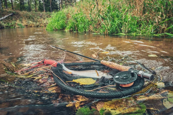 Pêche Mouche Dans Beau Ruisseau Automne — Photo