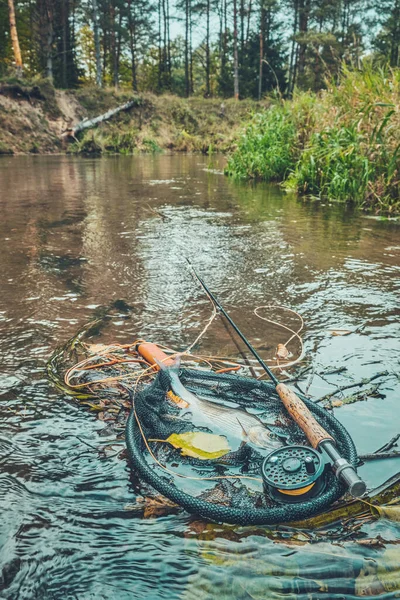 Flugfiske Vacker Höstbäck — Stockfoto