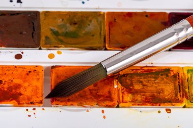 Resimler için suluboya boya ve sentetik fırça seti. Çizim süreci.