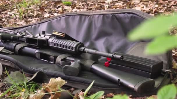 Armas, escopeta y rifle en el suelo en el bosque — Vídeos de Stock