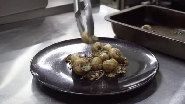 Primer plano del chef poniendo caracoles en el plato y preparando comida gourmet en la cocina — Vídeo de stock