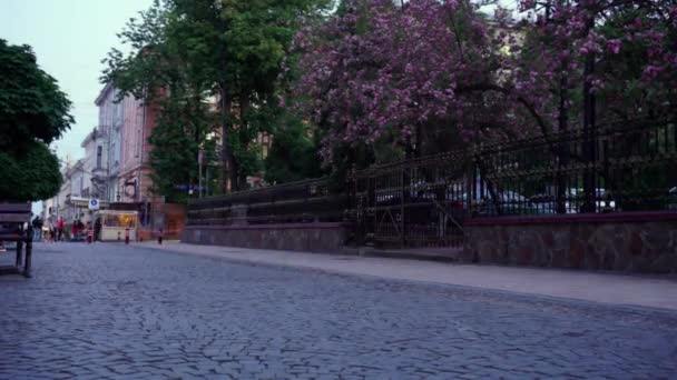 Time lapse view of people rushing from work in pedestrian street — Stock Video