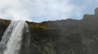 İzlanda'da Skogafoss şelalesu su perdesi duvar olarak düşen su.