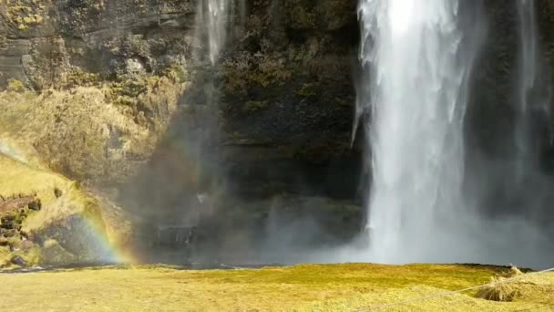Water falling as water curtain wall at Skogafoss waterfall in Iceland. — Stock Video