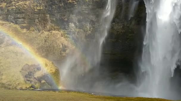 Catarata islandesa Skogafoss con arco iris — Vídeo de stock