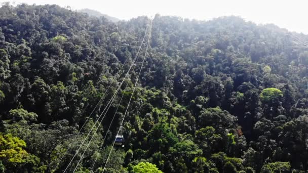 Teleférico gôndola passeio pov sobre pinheiros árvores da floresta. vista drone — Vídeo de Stock