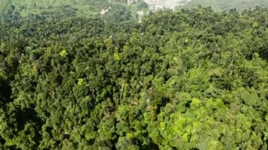 D Nang, Hai Chau Bölgesi. Vietnam. Vietnam dağlarında teleferik bir çekim ... Da Nang şehri yakınlarında, dağ ba na tırmanmaya. Drone görünümü